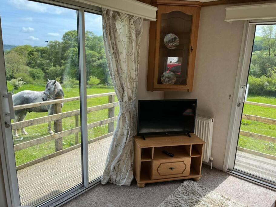Farm Stay Caravan On Working Farm Dacre  Zewnętrze zdjęcie